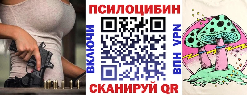 Галлюциногенные грибы Psilocybine cubensis  Купить где  Приозерск 